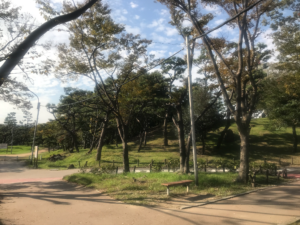大浜公園へ散歩♪