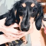 はじめまして大塚です！