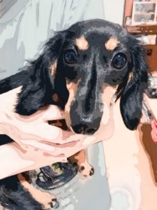 はじめまして大塚です！